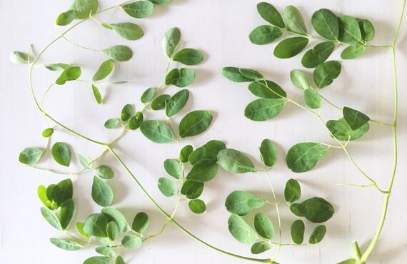 ハーブピーリングorニードルピーリング、どの悩みに効果あり？